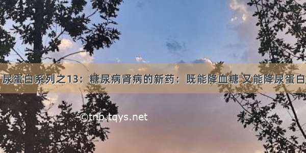 尿蛋白系列之13：糖尿病肾病的新药：既能降血糖 又能降尿蛋白