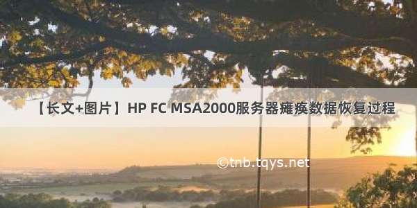 【长文+图片】HP FC MSA2000服务器瘫痪数据恢复过程