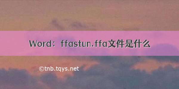 Word：ffastun.ffa文件是什么