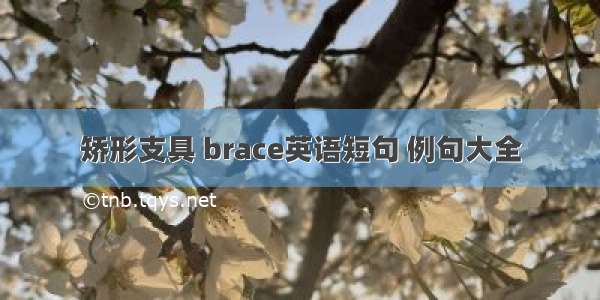 矫形支具 brace英语短句 例句大全