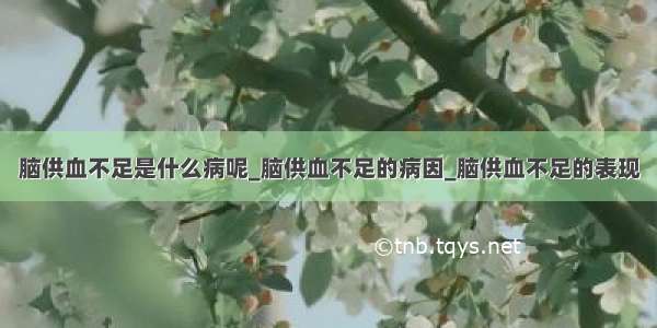 脑供血不足是什么病呢_脑供血不足的病因_脑供血不足的表现