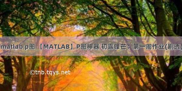 matlab p图 【MATLAB】P图神器 初露锋芒：第一周作业(剧透)