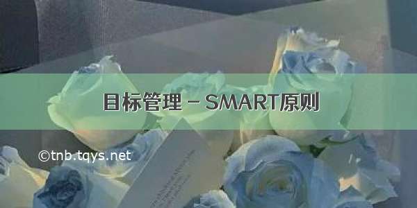 目标管理 - SMART原则