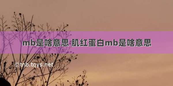 mb是啥意思 肌红蛋白mb是啥意思