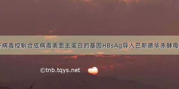 下面是将乙肝病毒控制合成病毒表面主蛋白的基因HBsAg导入巴斯德毕赤酵母菌生产乙肝疫