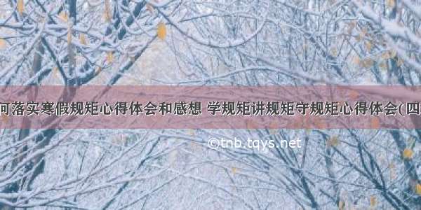 如何落实寒假规矩心得体会和感想 学规矩讲规矩守规矩心得体会(四篇)