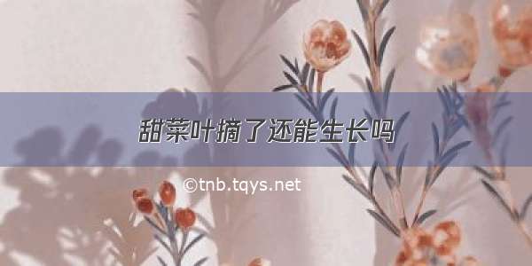 甜菜叶摘了还能生长吗