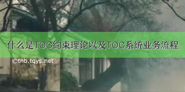 什么是TOC约束理论以及TOC系统业务流程