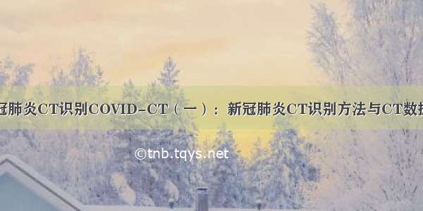 新冠肺炎CT识别COVID-CT（一）：新冠肺炎CT识别方法与CT数据集