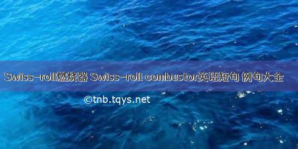 Swiss-roll燃烧器 Swiss-roll combustor英语短句 例句大全