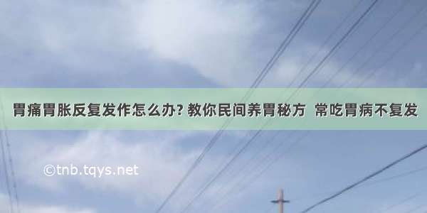 胃痛胃胀反复发作怎么办? 教你民间养胃秘方  常吃胃病不复发