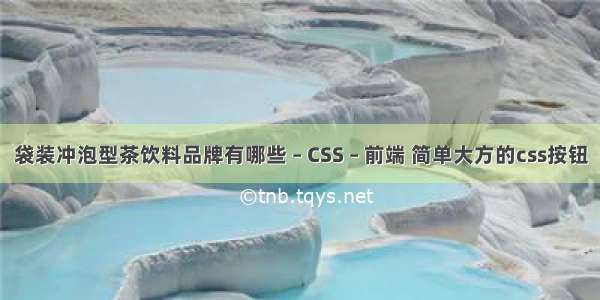 袋装冲泡型茶饮料品牌有哪些 – CSS – 前端 简单大方的css按钮