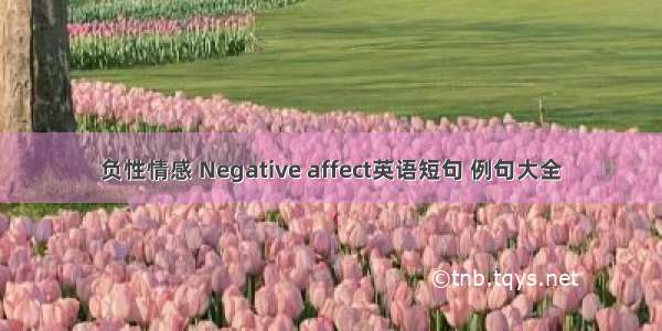 负性情感 Negative affect英语短句 例句大全