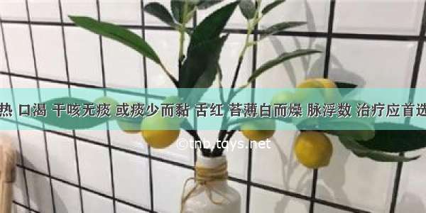 头痛身热 口渴 干咳无痰 或痰少而黏 舌红 苔薄白而燥 脉浮数 治疗应首选A.桑菊