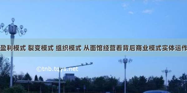 盈利模式 裂变模式 组织模式 从面馆经营看背后商业模式实体运作