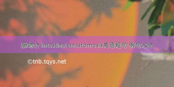 肠吻合 Intestinal anastomosis英语短句 例句大全