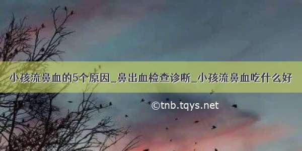 小孩流鼻血的5个原因_鼻出血检查诊断_小孩流鼻血吃什么好