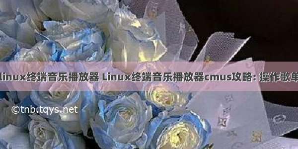 linux终端音乐播放器 Linux终端音乐播放器cmus攻略: 操作歌单