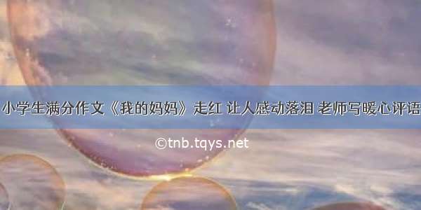 小学生满分作文《我的妈妈》走红 让人感动落泪 老师写暖心评语