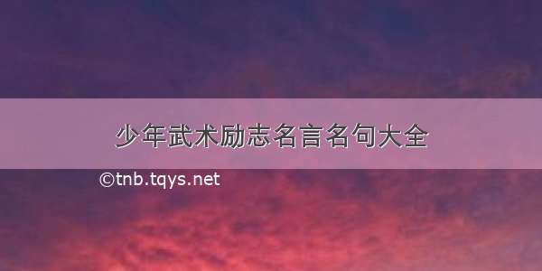 少年武术励志名言名句大全