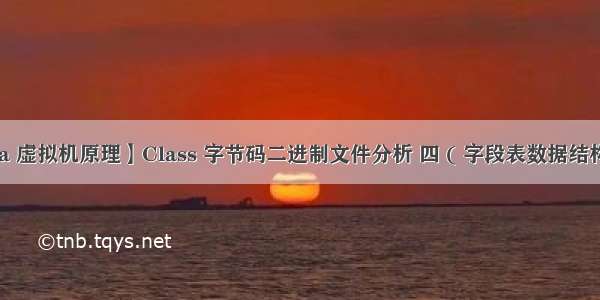 【Java 虚拟机原理】Class 字节码二进制文件分析 四 ( 字段表数据结构 | 字段