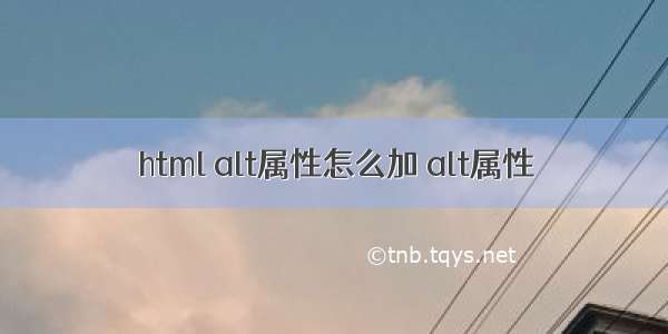 html alt属性怎么加 alt属性