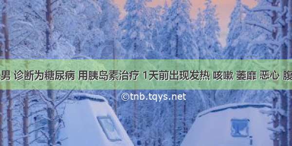 患儿 男 诊断为糖尿病 用胰岛素治疗 1天前出现发热 咳嗽 萎靡 恶心 腹痛 服