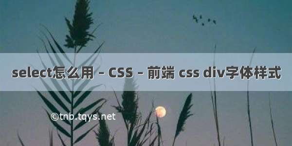 select怎么用 – CSS – 前端 css div字体样式