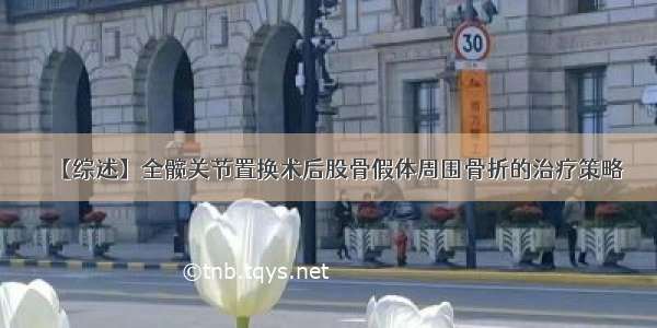 【综述】全髋关节置换术后股骨假体周围骨折的治疗策略