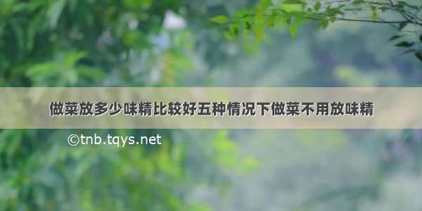 做菜放多少味精比较好五种情况下做菜不用放味精