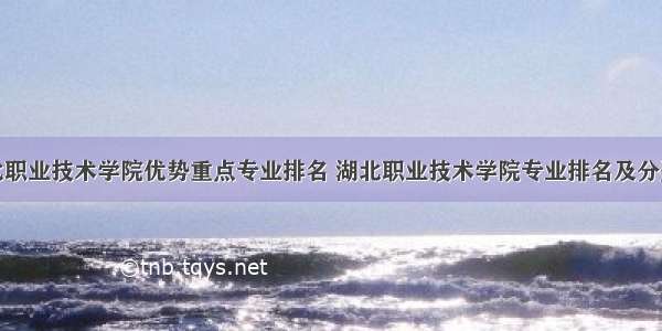 湖北职业技术学院优势重点专业排名 湖北职业技术学院专业排名及分数线