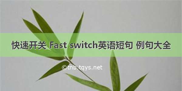 快速开关 Fast switch英语短句 例句大全