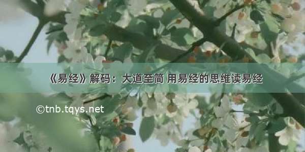 《易经》解码：大道至简 用易经的思维读易经