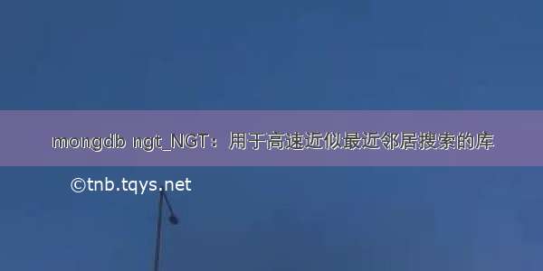 mongdb ngt_NGT：用于高速近似最近邻居搜索的库