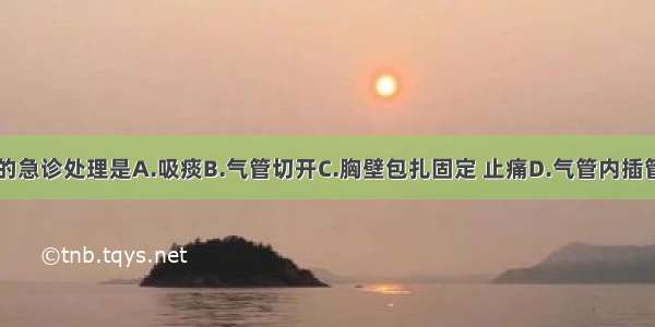 此时应采取的急诊处理是A.吸痰B.气管切开C.胸壁包扎固定 止痛D.气管内插管E.呼吸机辅