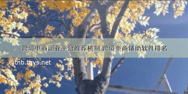 跨境电商副业平台推荐机制 跨境电商辅助软件排名