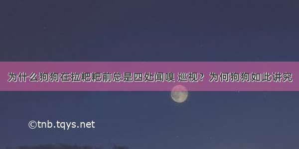 为什么狗狗在拉粑粑前总是四处闻嗅 巡视？为何狗狗如此讲究