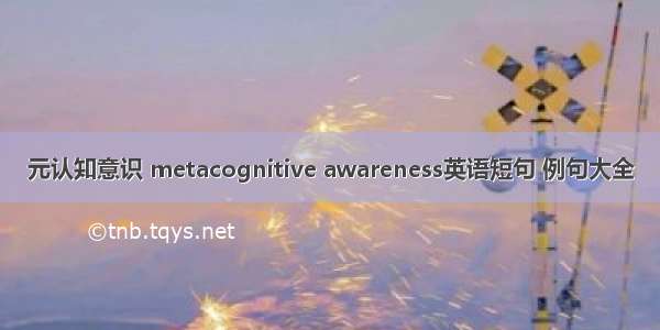 元认知意识 metacognitive awareness英语短句 例句大全