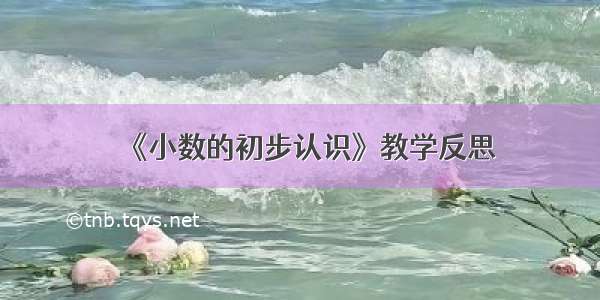 《小数的初步认识》教学反思