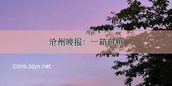 沧州晚报：一箱白桃