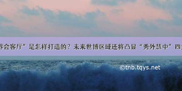 “世界会客厅”是怎样打造的？未来世博区域还将凸显“秀外慧中”四大特点