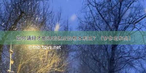 如何诵经才能得到佛法的根本利益？（梦参老和尚）