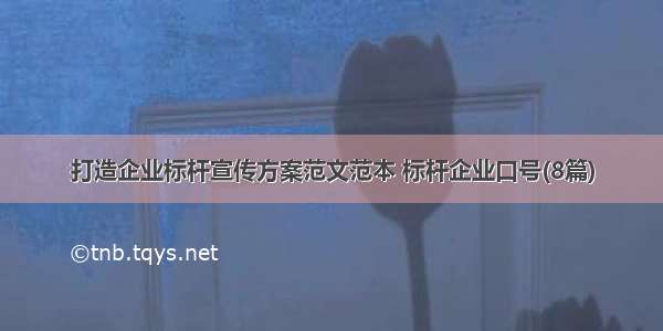 打造企业标杆宣传方案范文范本 标杆企业口号(8篇)