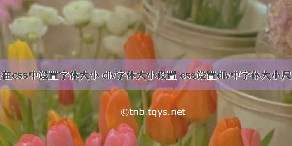 div怎么在css中设置字体大小 div字体大小设置 css设置div中字体大小尺寸样式