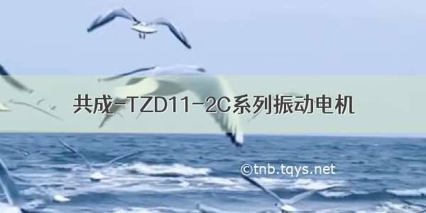 共成-TZD11-2C系列振动电机