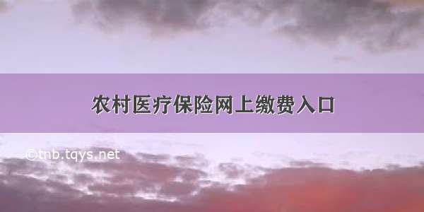 农村医疗保险网上缴费入口