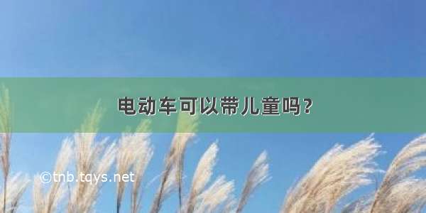 电动车可以带儿童吗？