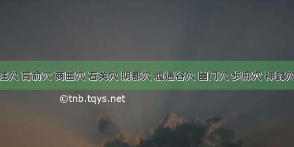 中注穴 肓俞穴 商曲穴 石关穴 阴都穴 腹通谷穴 幽门穴 步廊穴 神封穴 ...