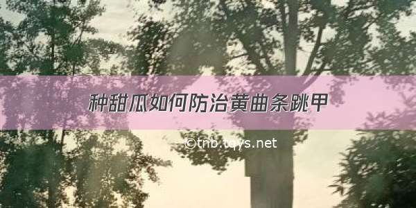 种甜瓜如何防治黄曲条跳甲