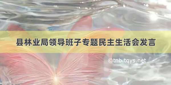 县林业局领导班子专题民主生活会发言